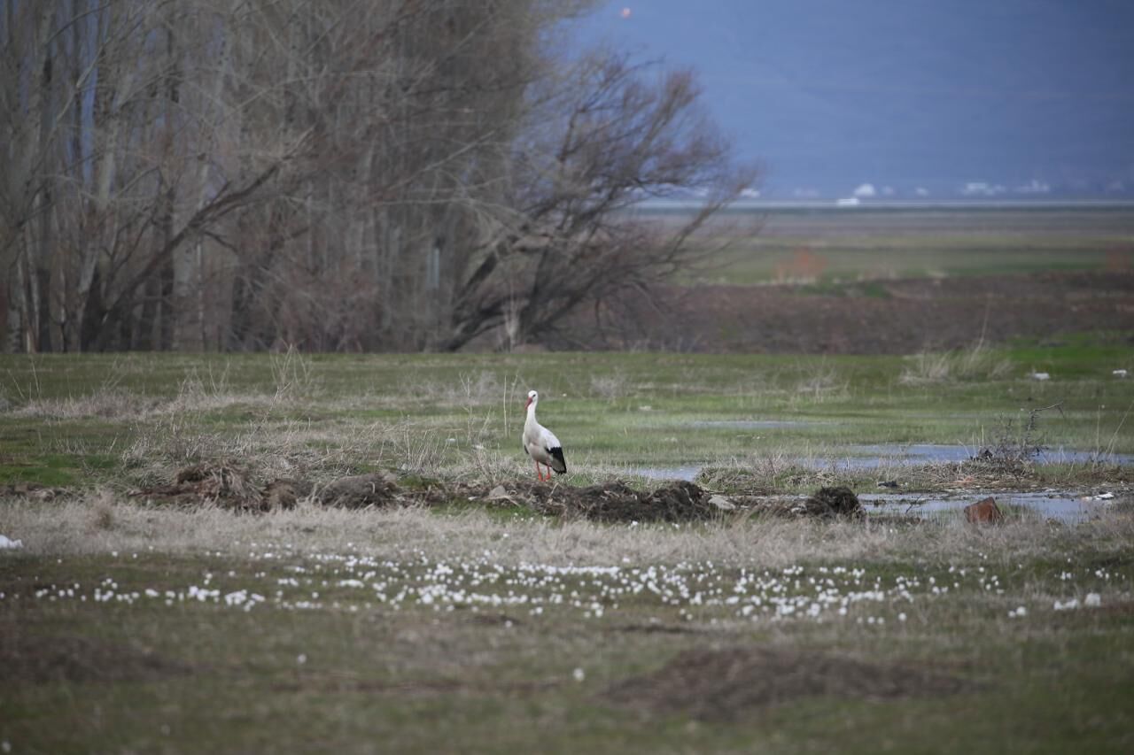 Whatsapp Image 2026 03 09 At 11.31.41 (1)