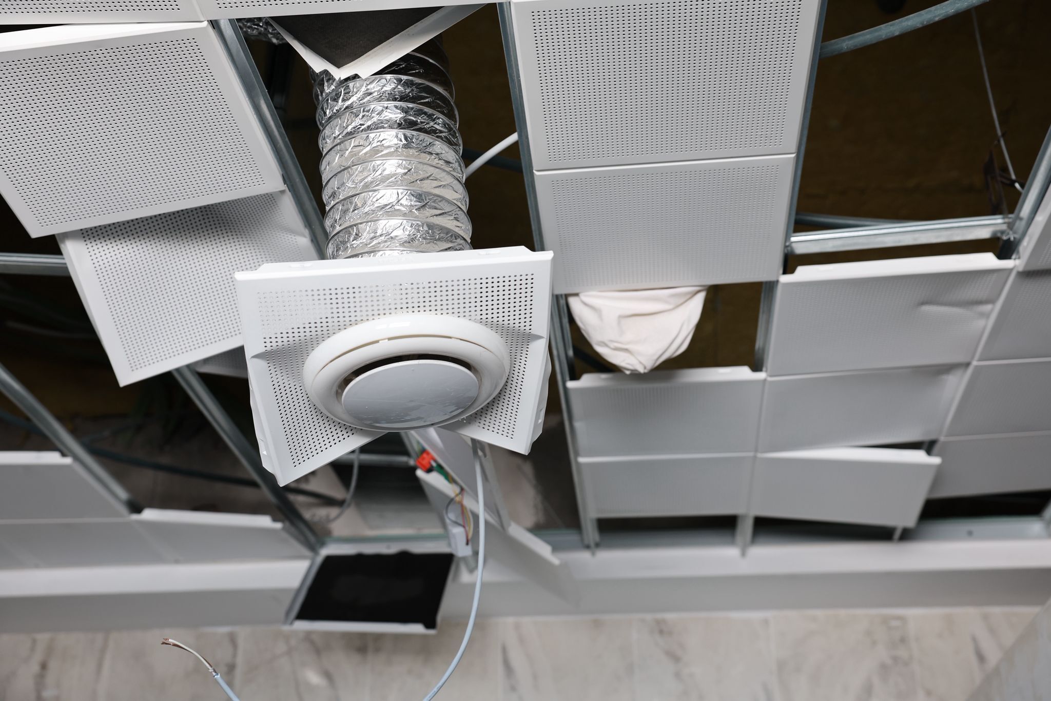 Whatsapp Image 2026 03 09 At 17.21.35