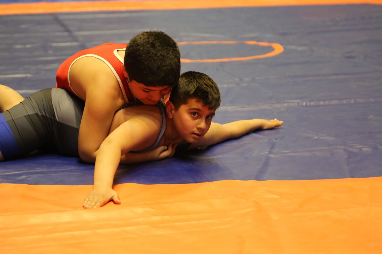 Whatsapp Image 2026 03 13 At 10.08.33 (1)