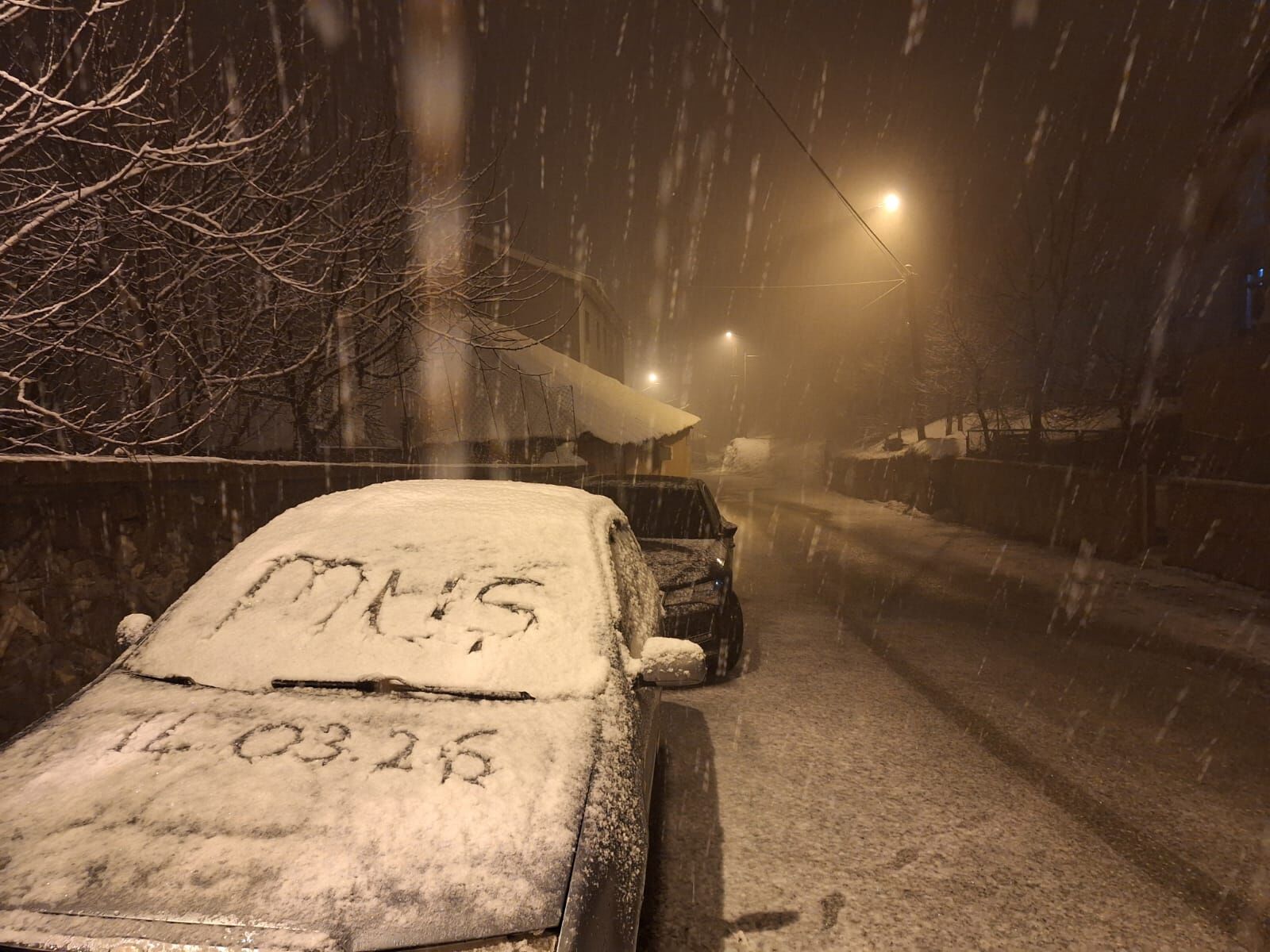 Whatsapp Image 2026 03 14 At 19.41.19