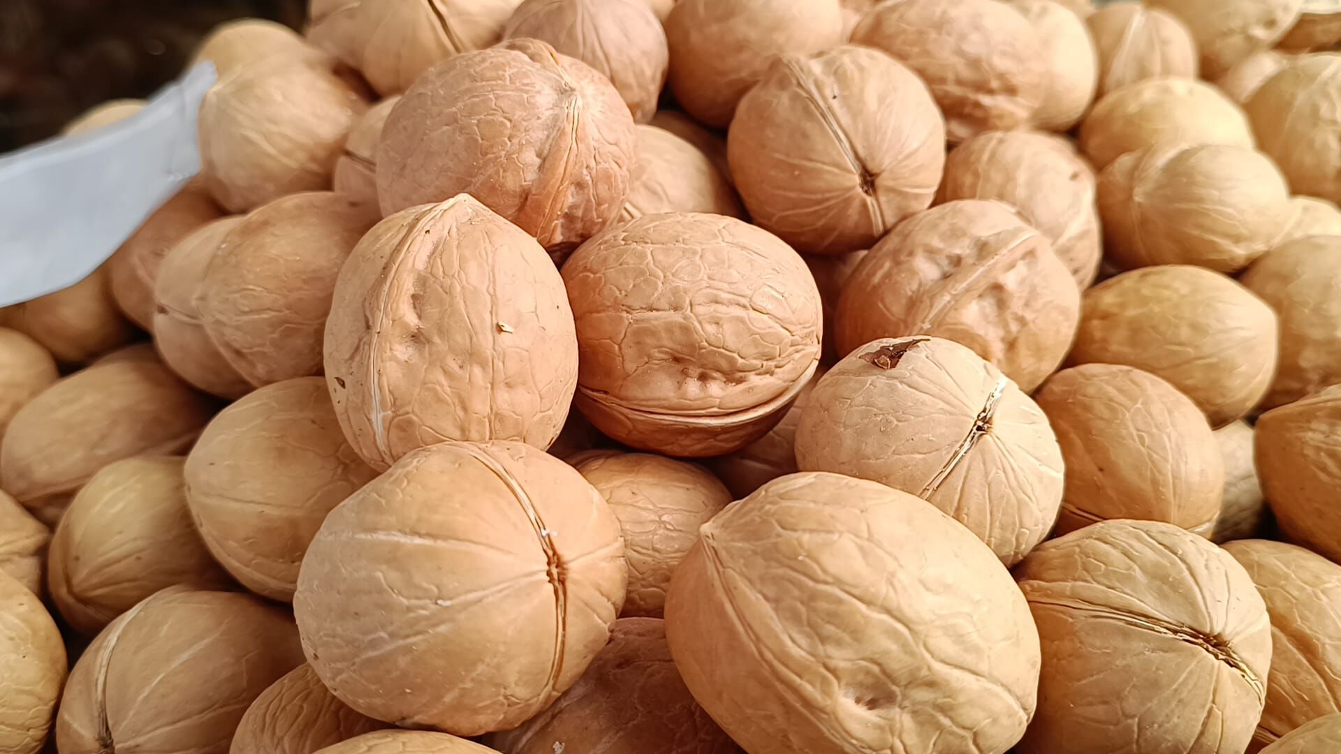 Whatsapp Image 2026 03 16 At 17.20.40 (5)