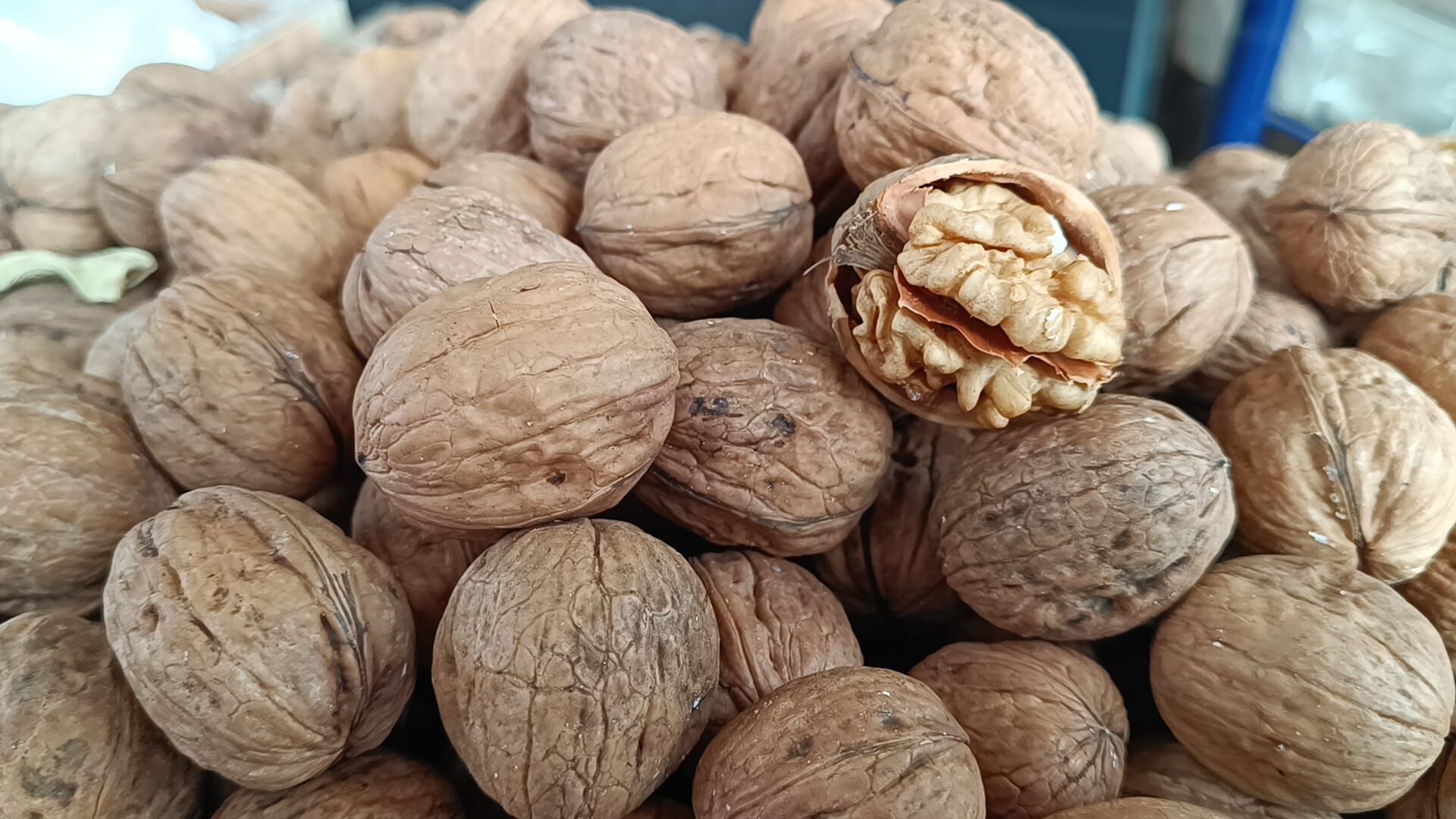 Whatsapp Image 2026 03 16 At 17.20.40 (6)