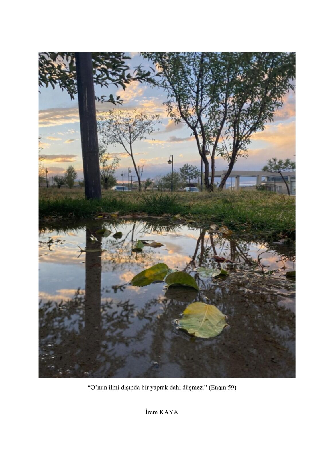 Whatsapp Image 2026 03 18 At 17.31.34 (1)