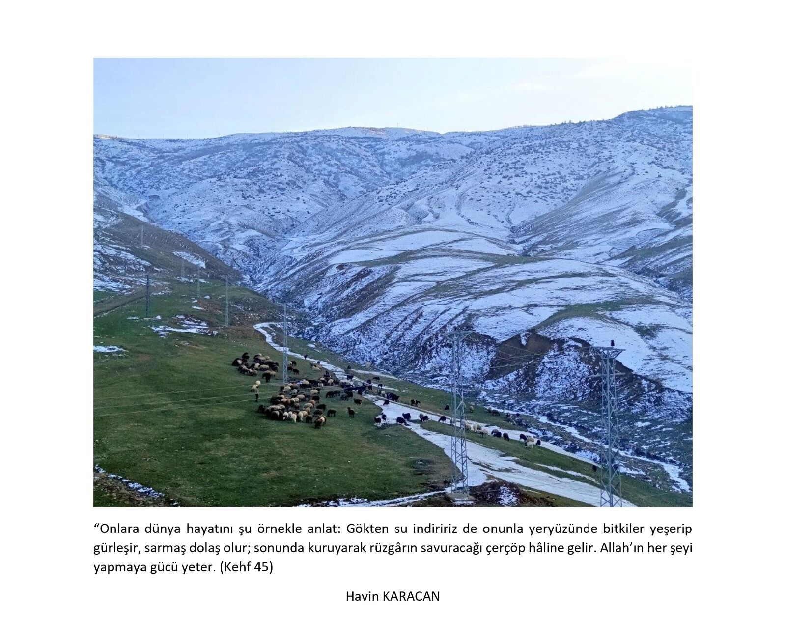 Whatsapp Image 2026 03 18 At 17.31.34 (2)