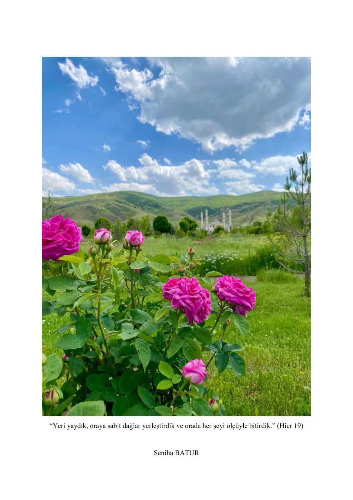 Whatsapp Image 2026 03 18 At 17.31.34