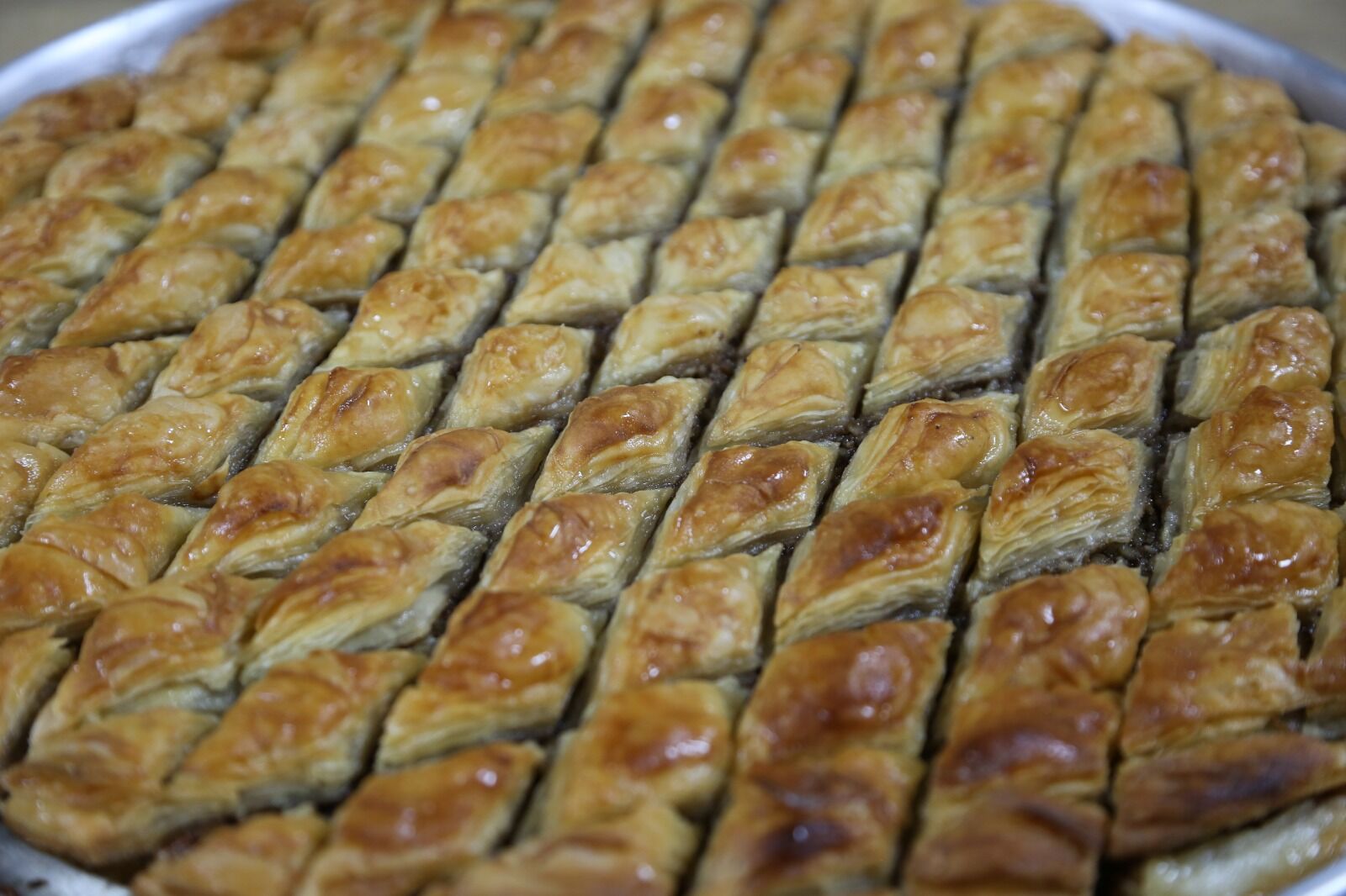 Whatsapp Image 2026 03 20 At 01.00.25