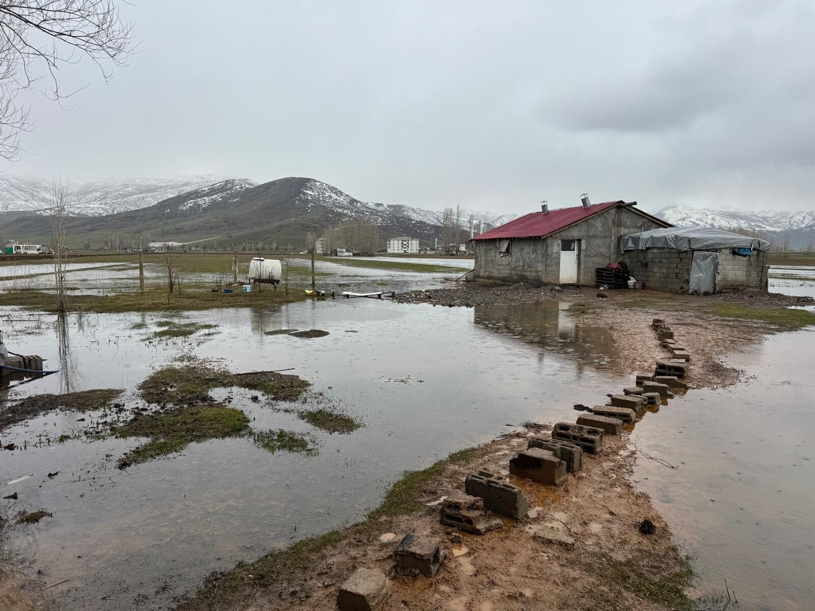 Whatsapp Image 2026 03 22 At 19.24.41 (1)