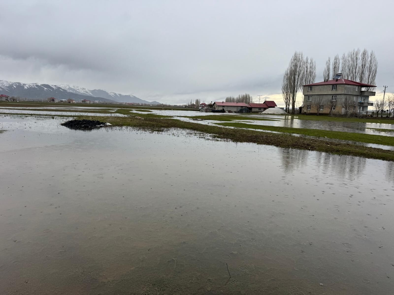 Whatsapp Image 2026 03 22 At 19.24.41