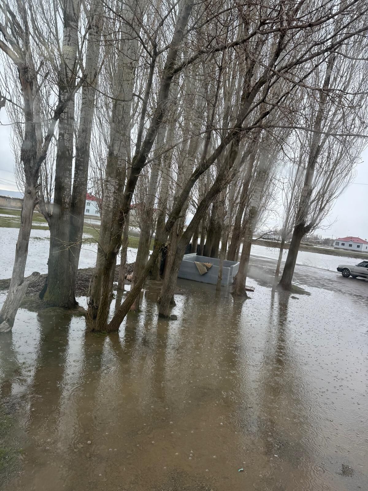 Whatsapp Image 2026 03 22 At 19.24.48