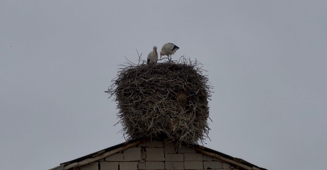 Whatsapp Image 2026 03 23 At 12.29.58 (1)