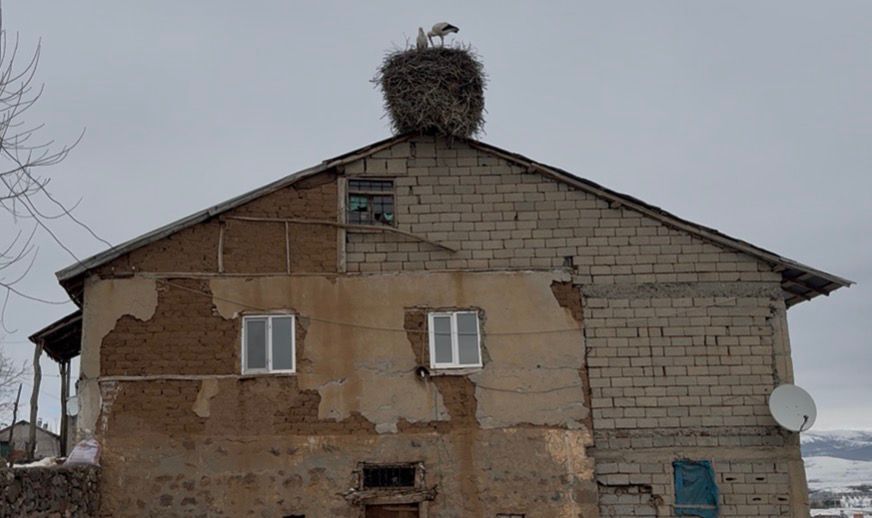 Whatsapp Image 2026 03 23 At 12.29.58 (4)