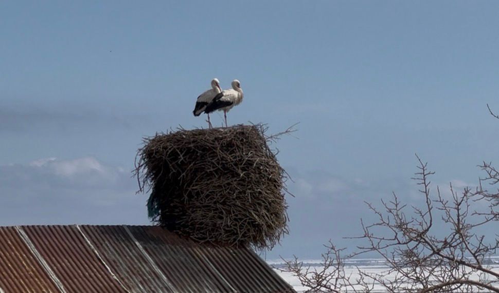 Whatsapp Image 2026 03 23 At 12.29.58