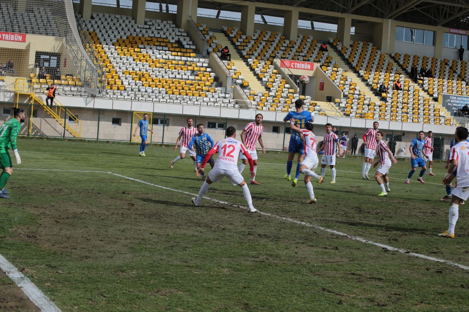 Whatsapp Image 2026 03 24 At 16.19.12 (7)