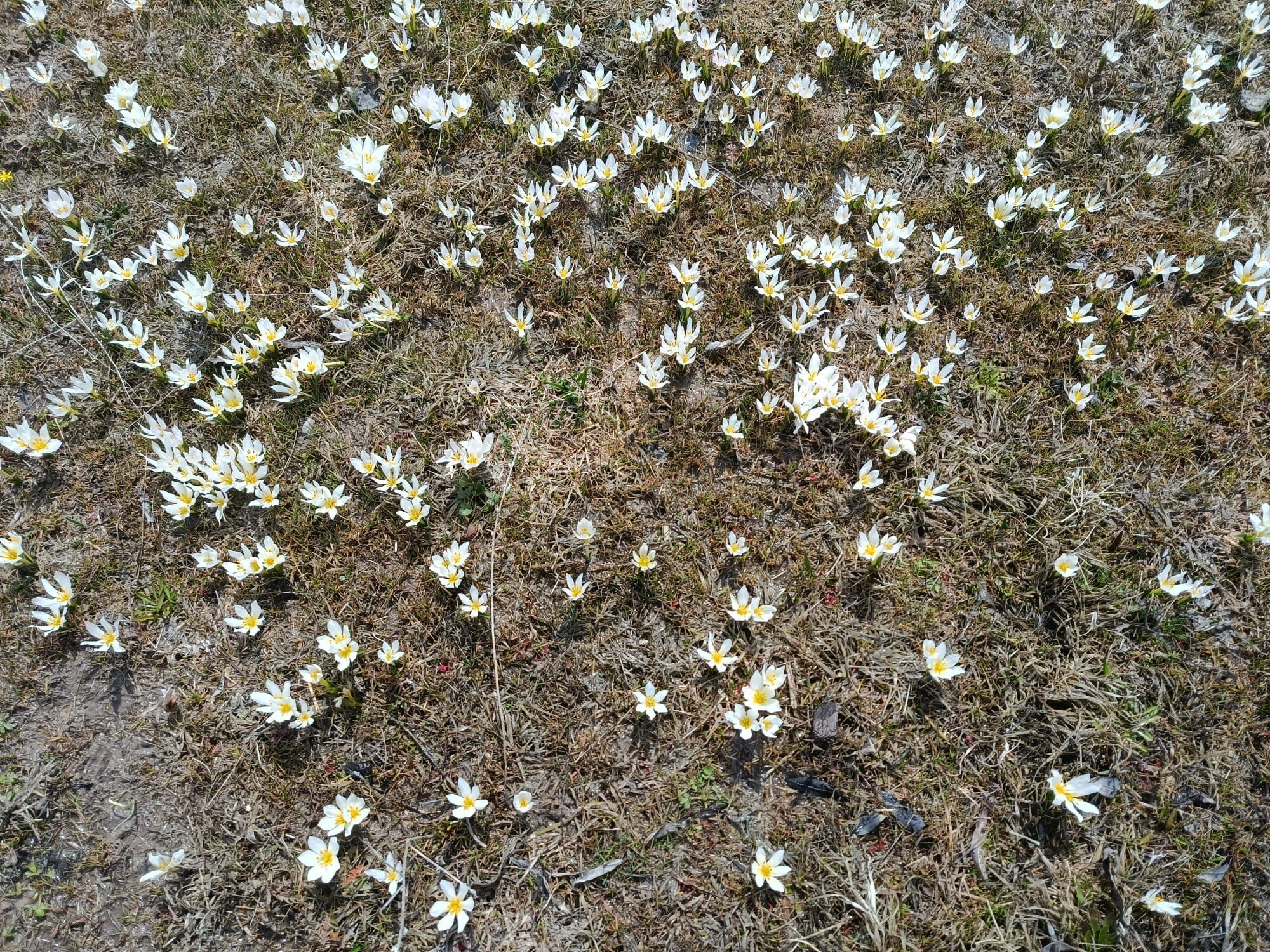 Whatsapp Image 2026 03 24 At 17.53.10