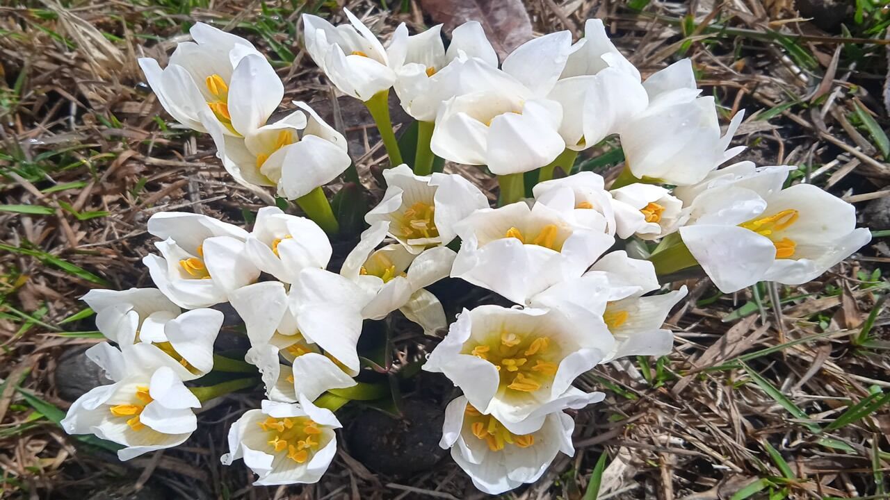 Whatsapp Image 2026 03 24 At 17.58.13