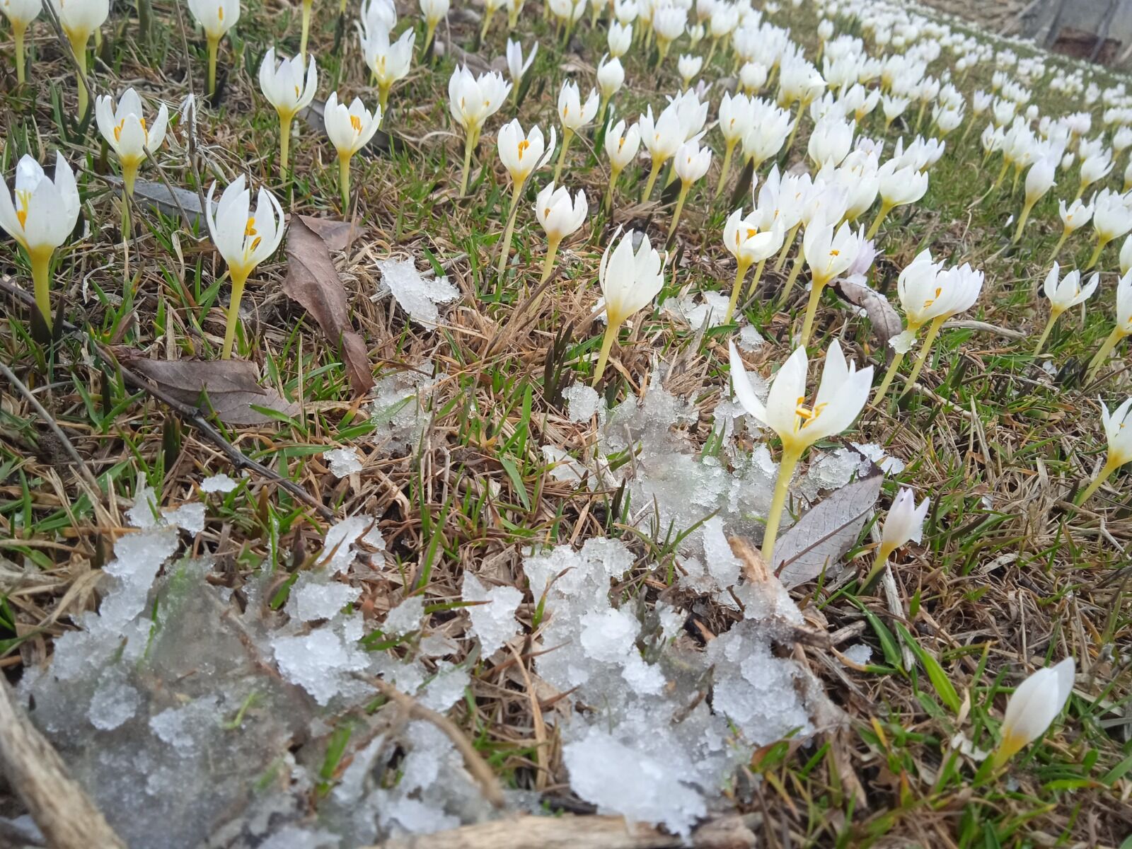 Whatsapp Image 2026 03 24 At 17.58.15 (1)