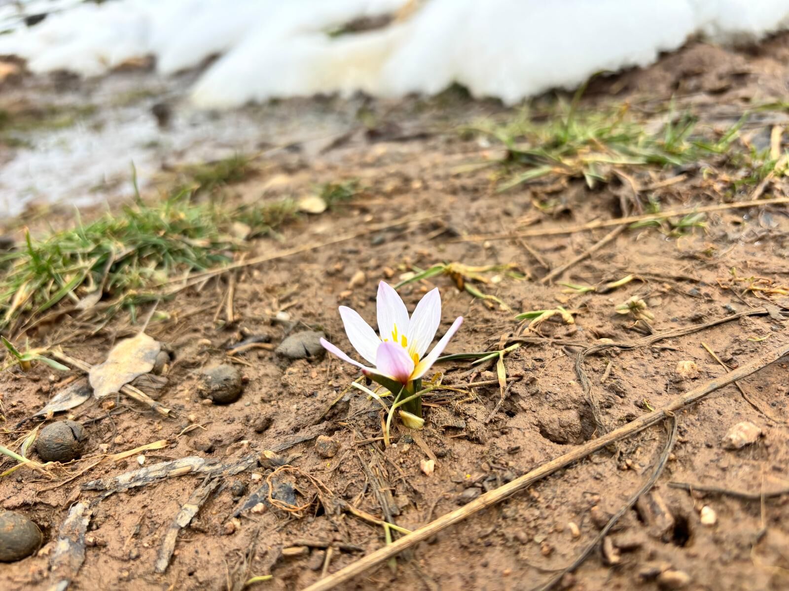 Whatsapp Image 2026 03 24 At 17.58.29