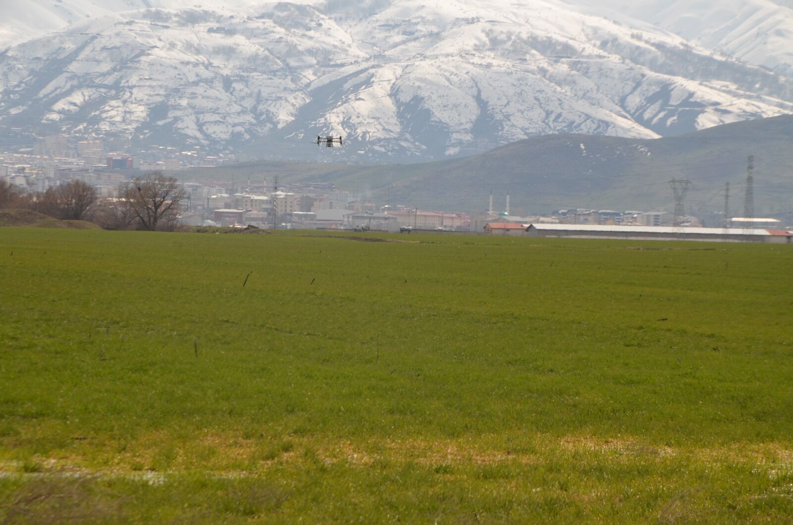 Whatsapp Image 2026 03 26 At 13.22.04