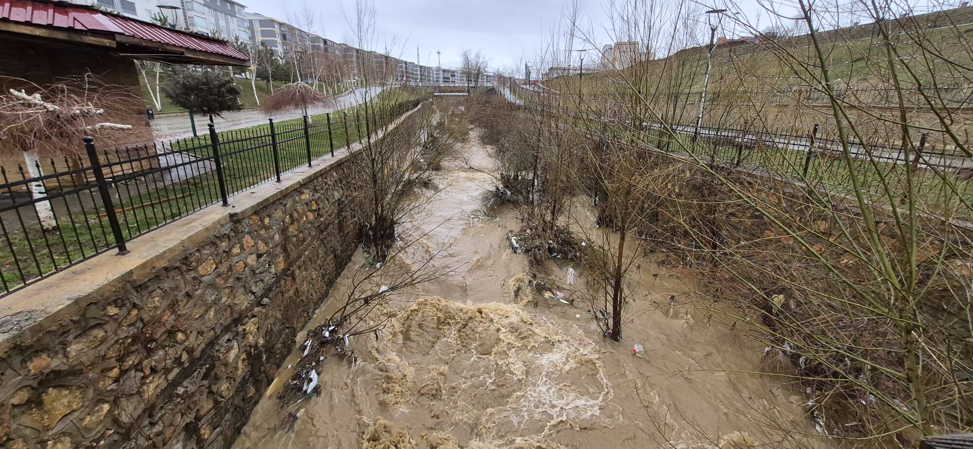 Whatsapp Image 2026 03 27 At 09.29.29