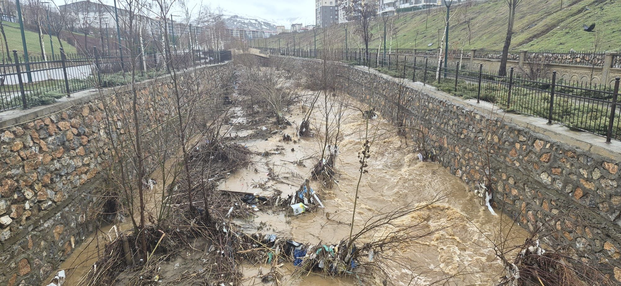 Whatsapp Image 2026 03 27 At 09.29.34