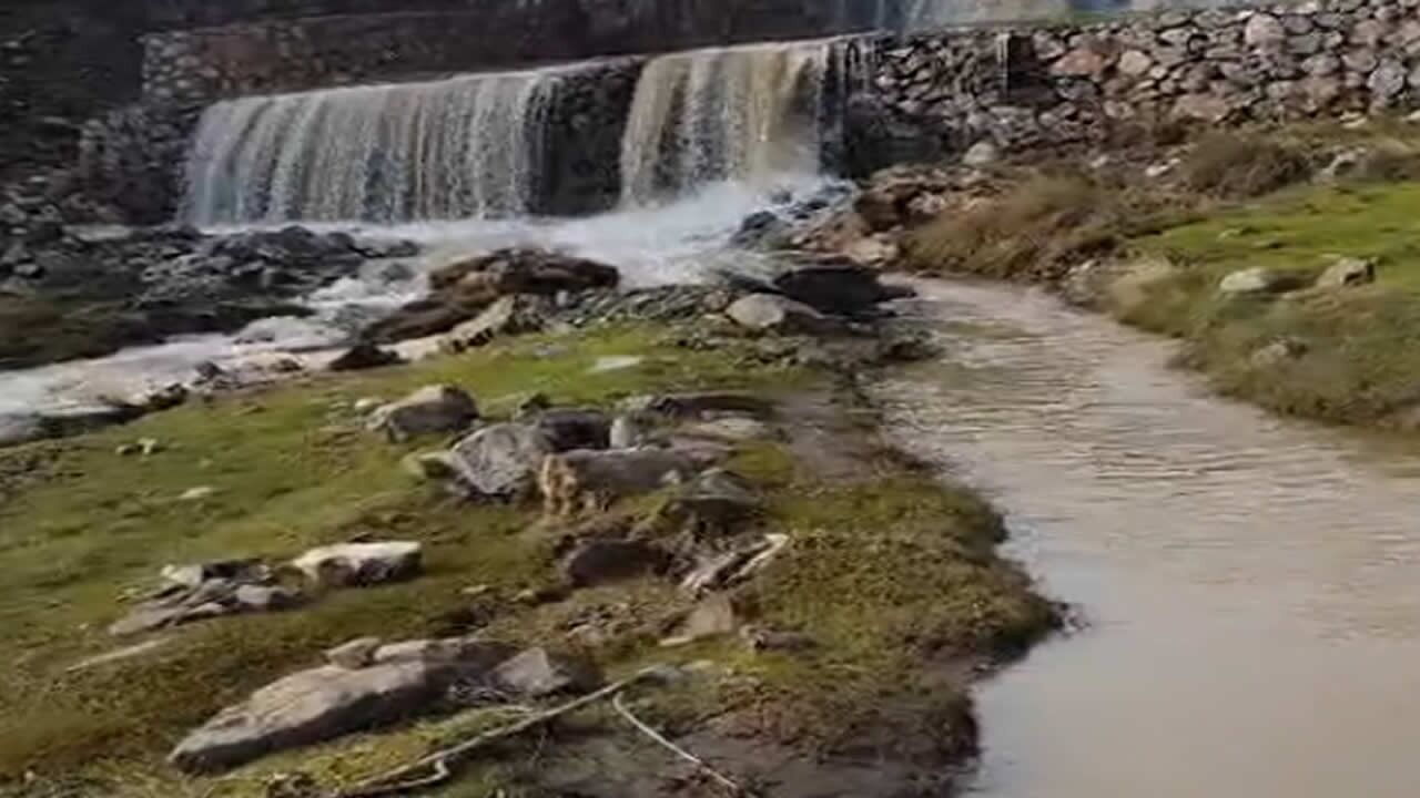 Whatsapp Image 2026 03 29 At 17.40.21