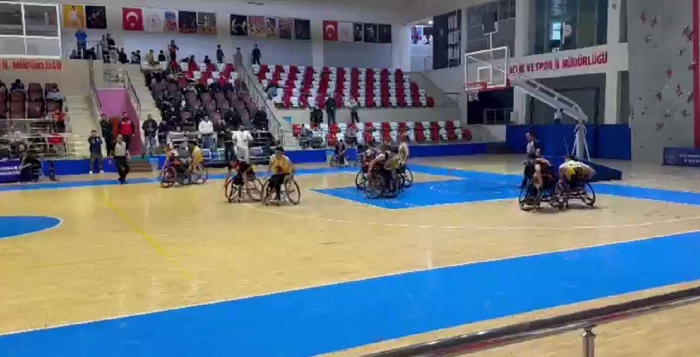 D S F C G V B N G H J