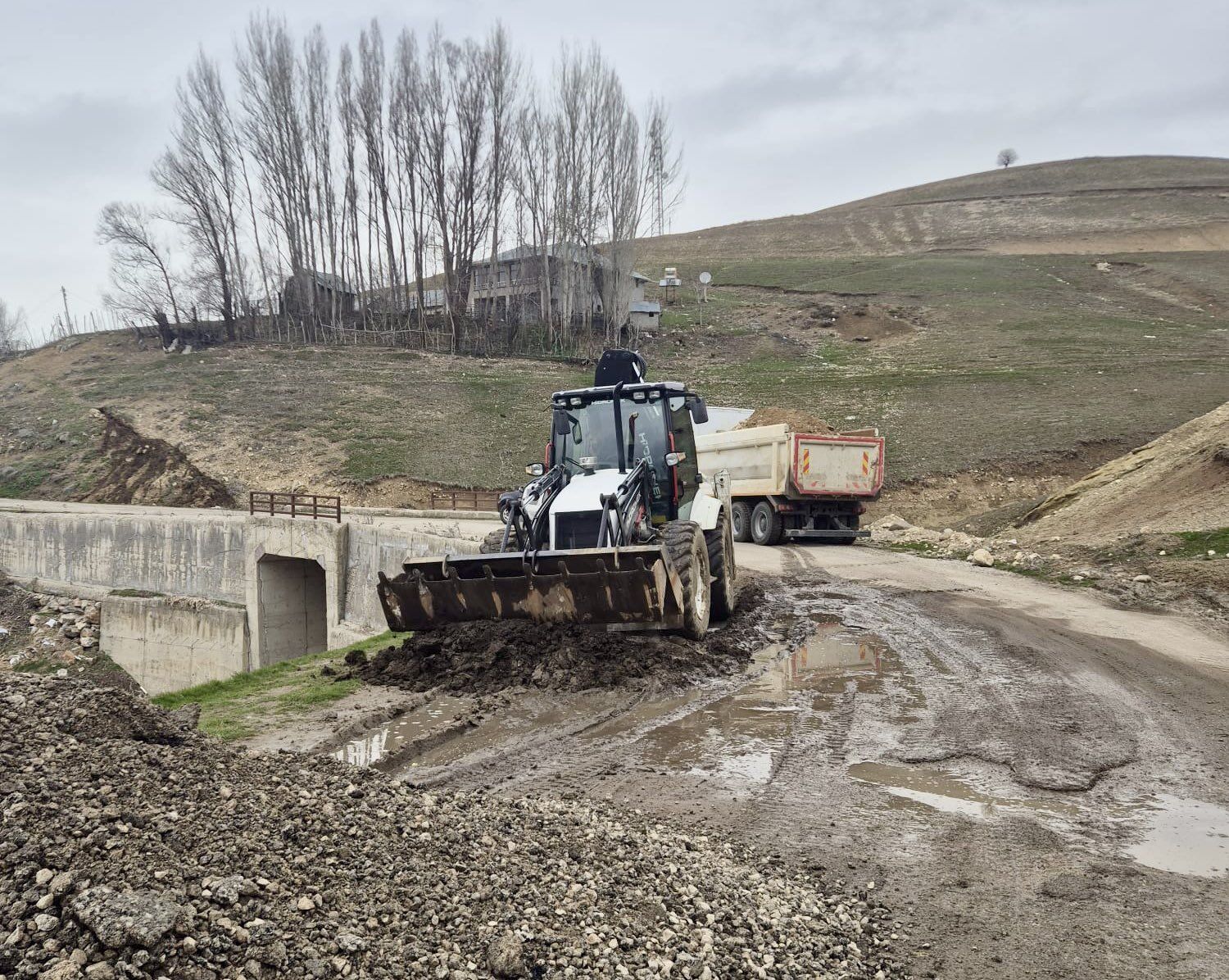 H G M Hpg X W Y A Anx M E