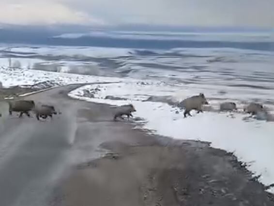 R T F G H V B G F R T F H U J