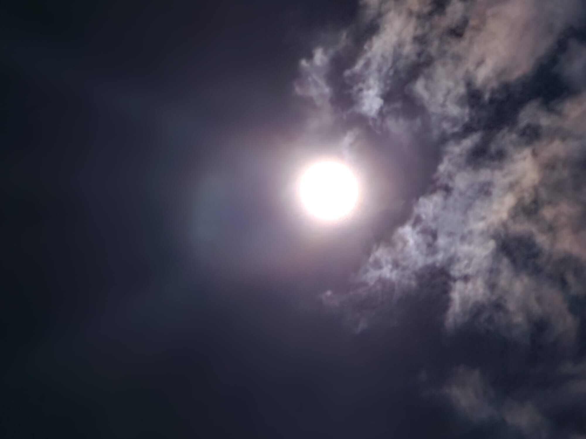 Whatsapp Image 2026 04 01 At 00.11.31 (4)