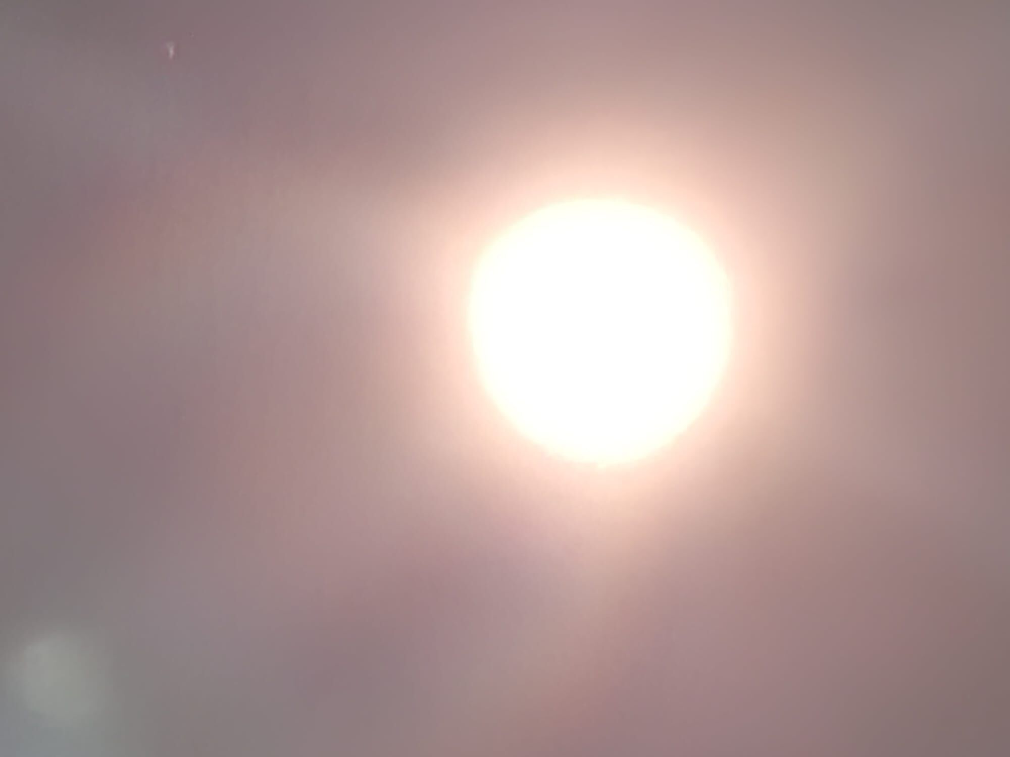 Whatsapp Image 2026 04 01 At 00.11.31