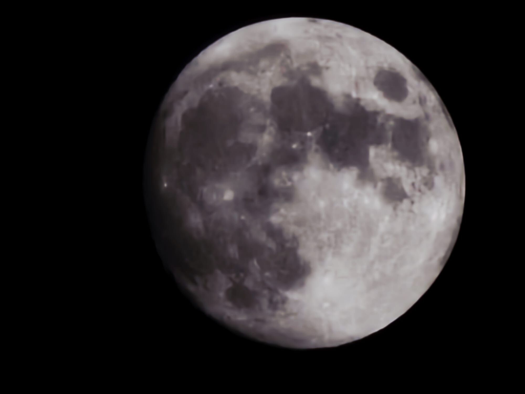 Whatsapp Image 2026 04 01 At 00.11.32 (3)