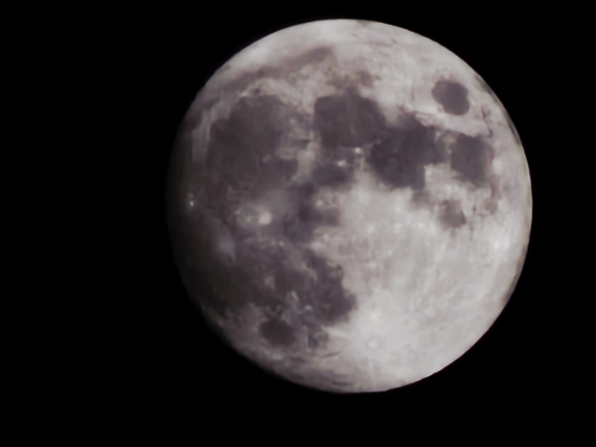 Whatsapp Image 2026 04 01 At 00.11.32 (4)