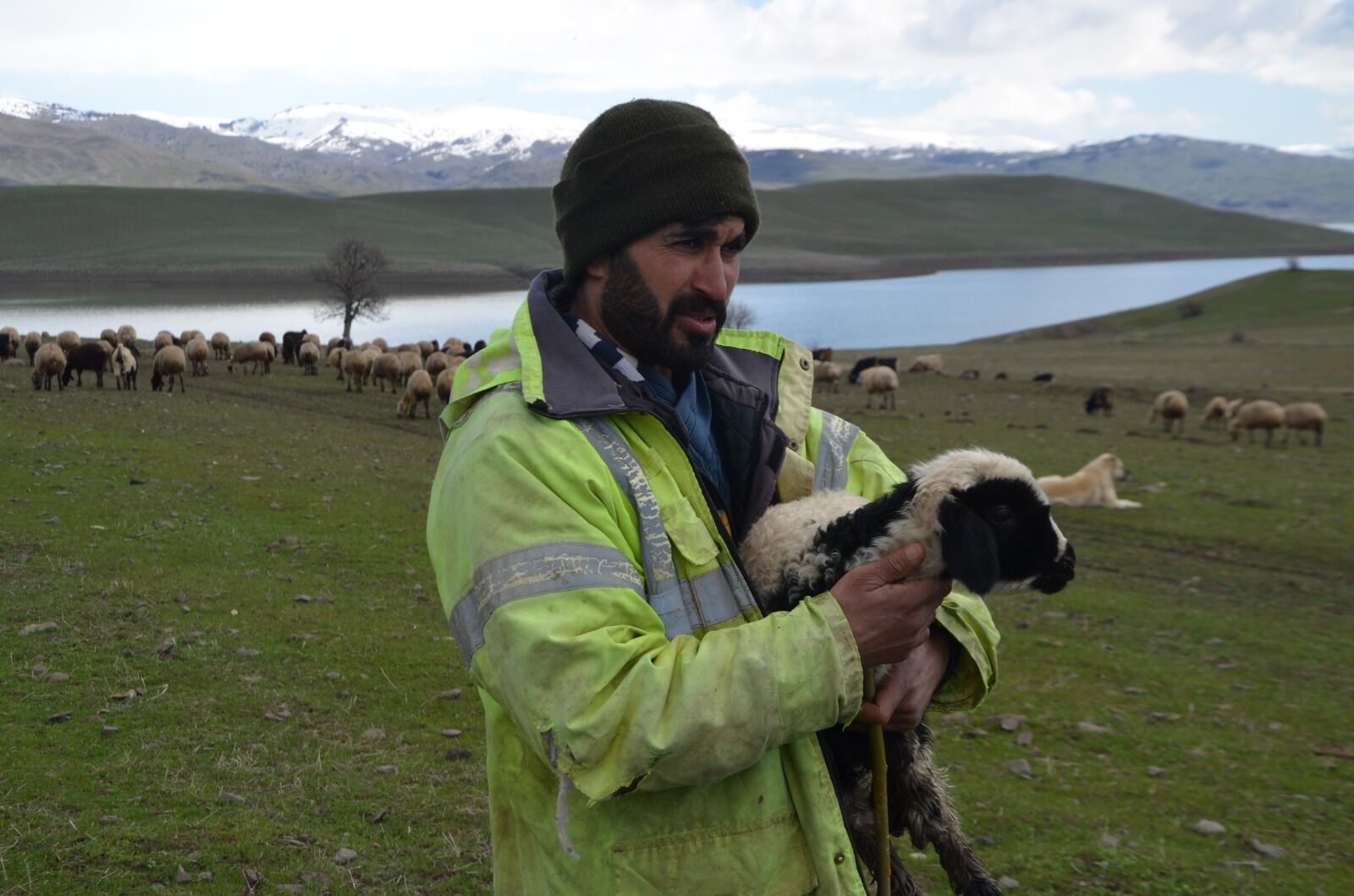 Whatsapp Image 2026 04 01 At 12.47.33