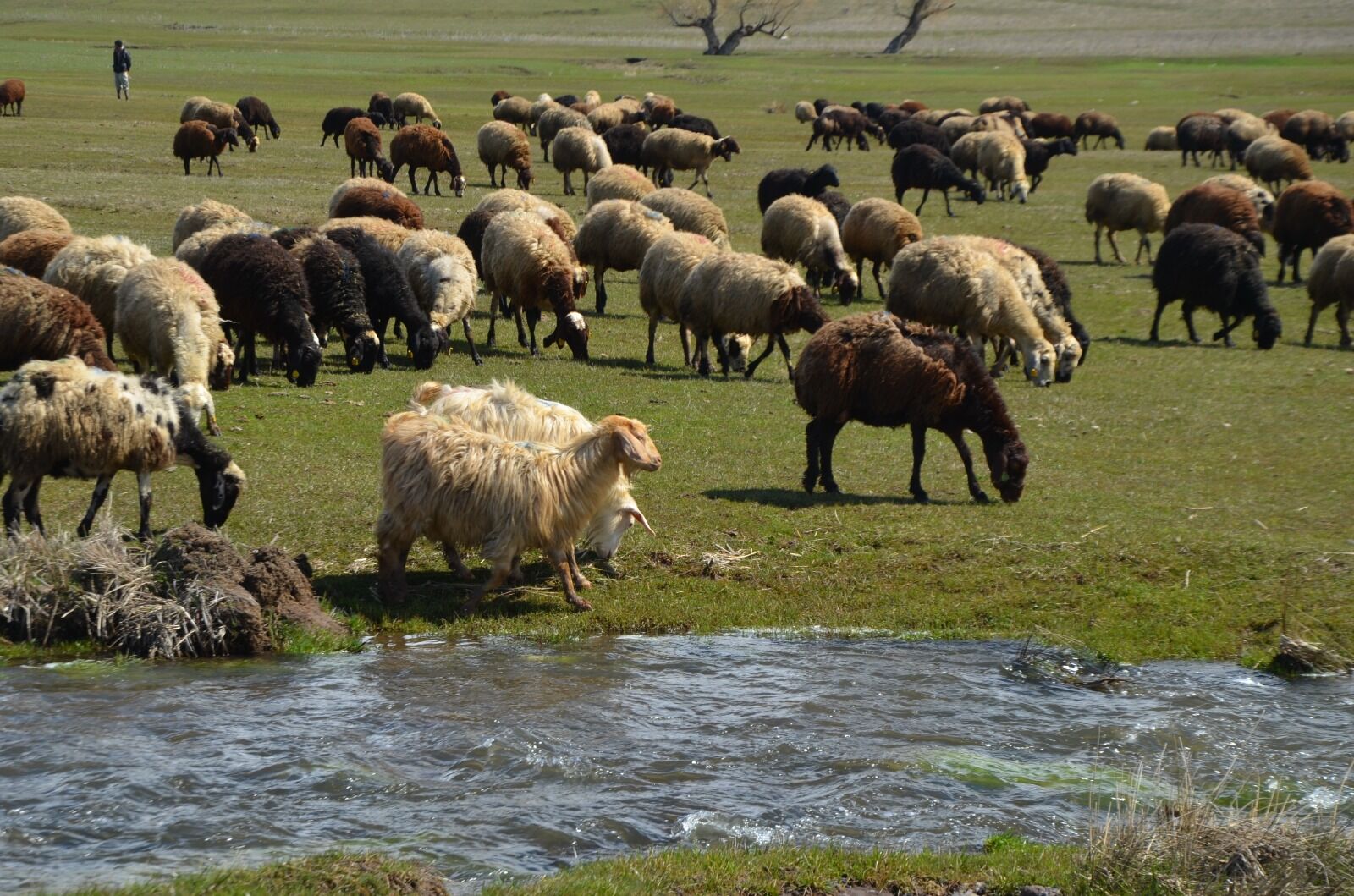 Whatsapp Image 2026 04 01 At 12.47.34 (1)