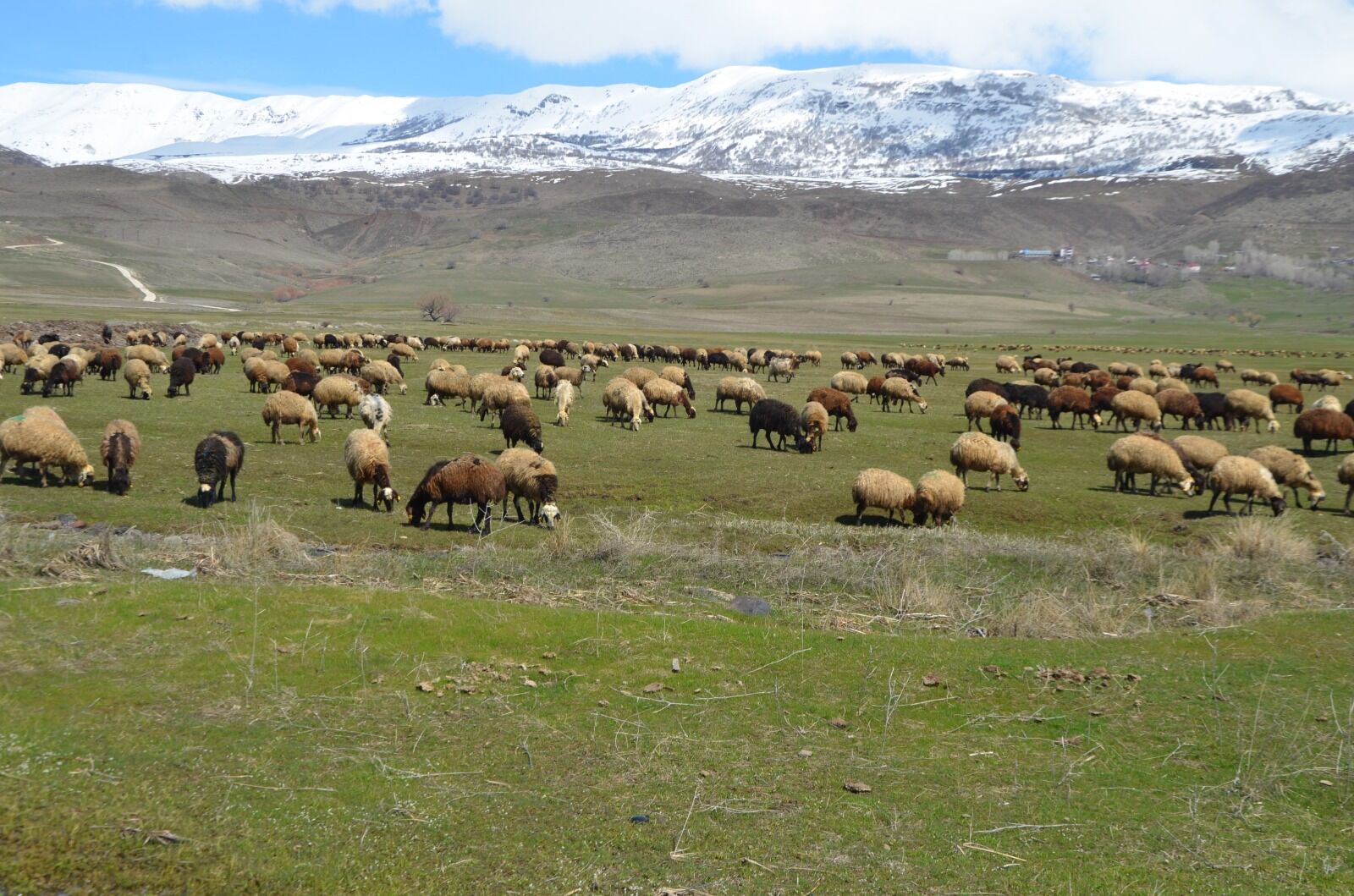 Whatsapp Image 2026 04 01 At 12.47.34 (3)