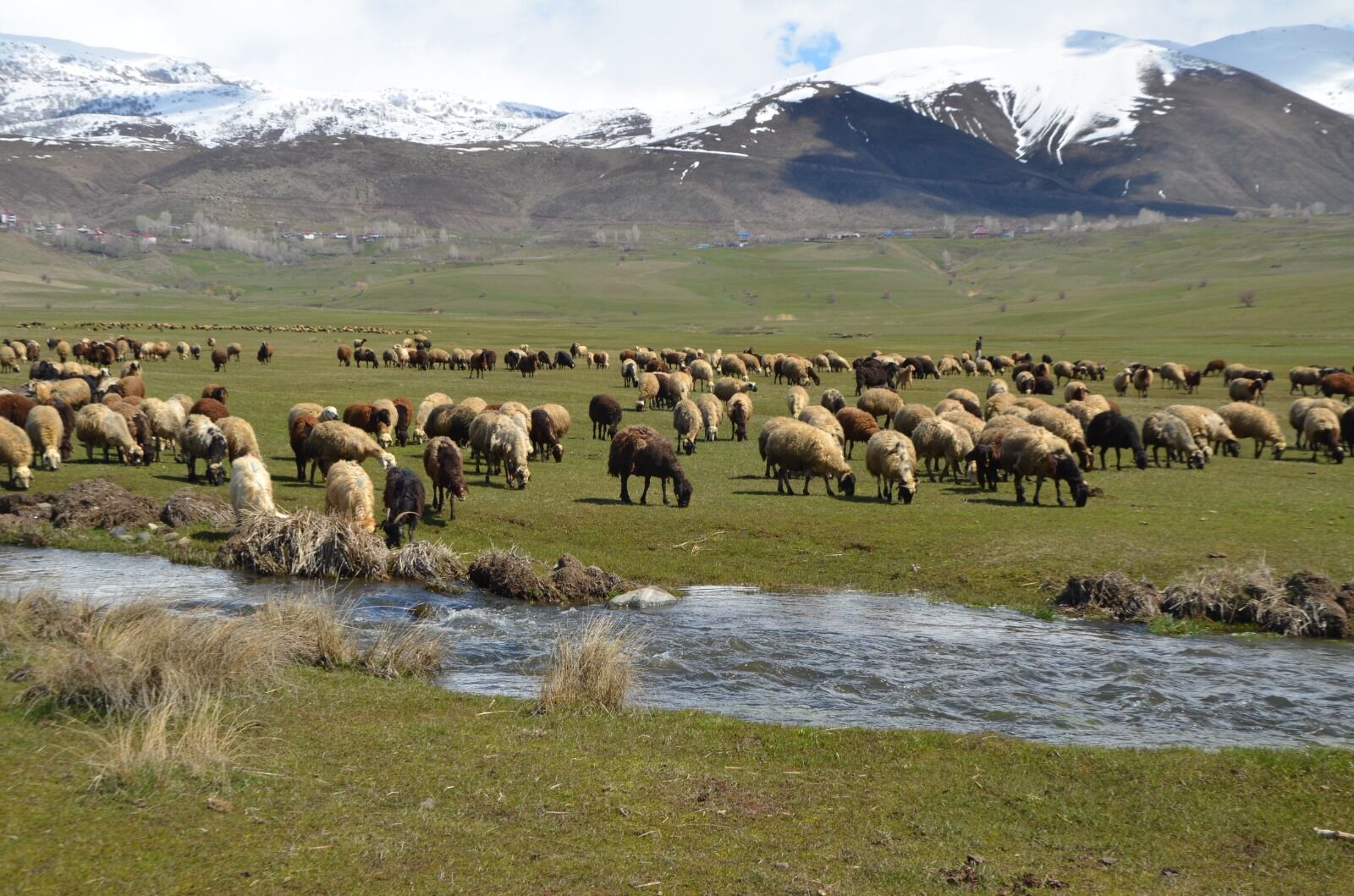 Whatsapp Image 2026 04 01 At 12.47.34