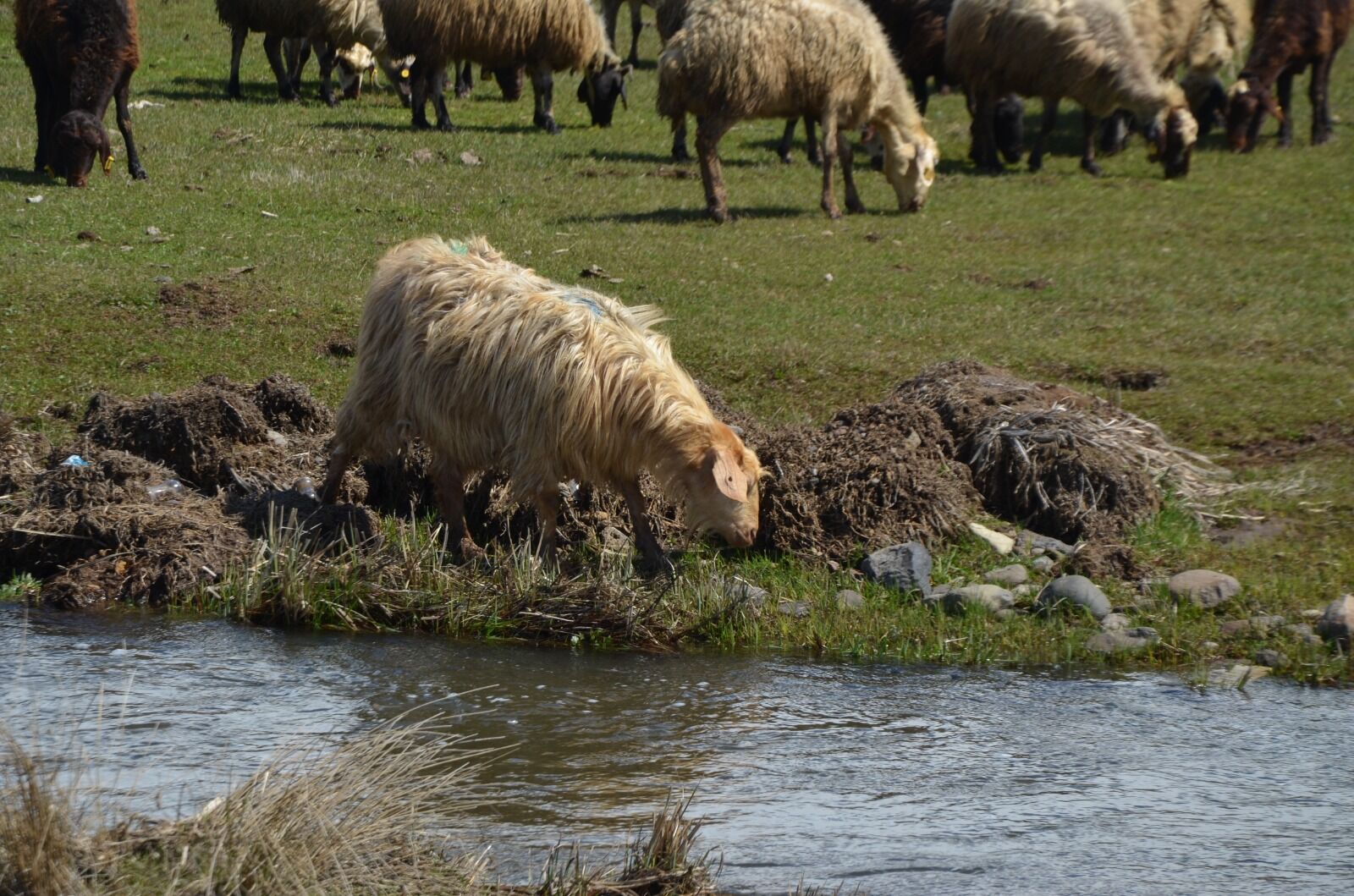 Whatsapp Image 2026 04 01 At 12.47.35 (1)