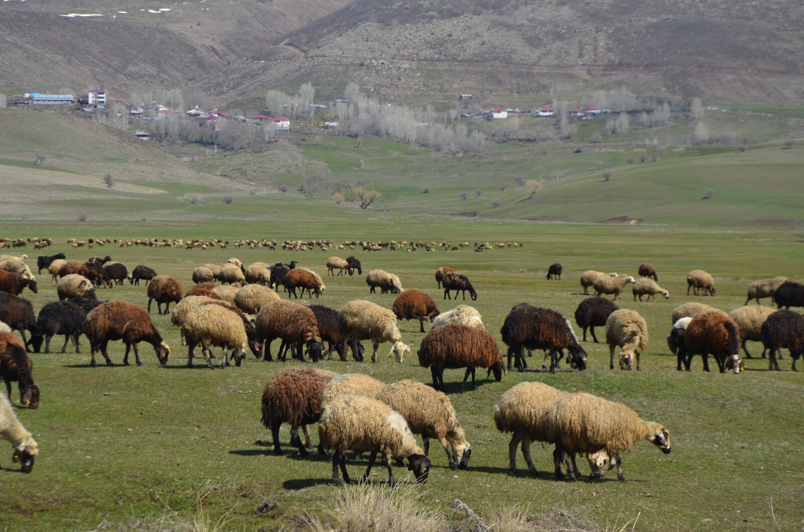 Whatsapp Image 2026 04 01 At 12.47.35 (2)