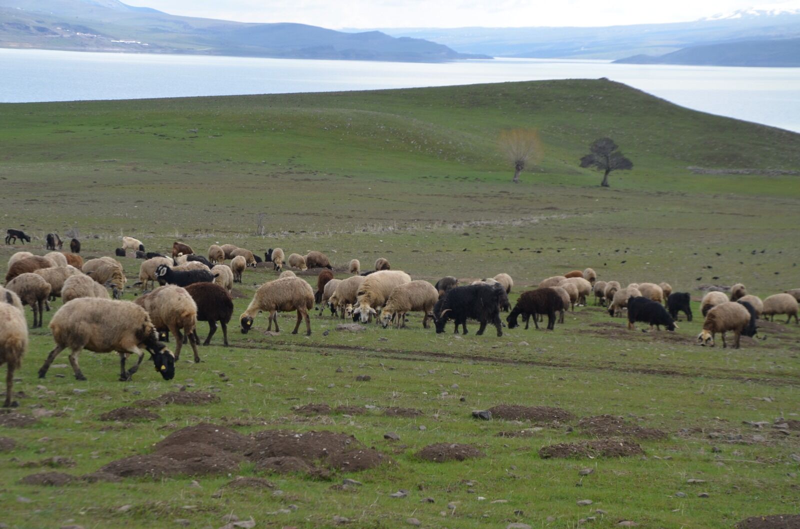 Whatsapp Image 2026 04 01 At 12.47.35