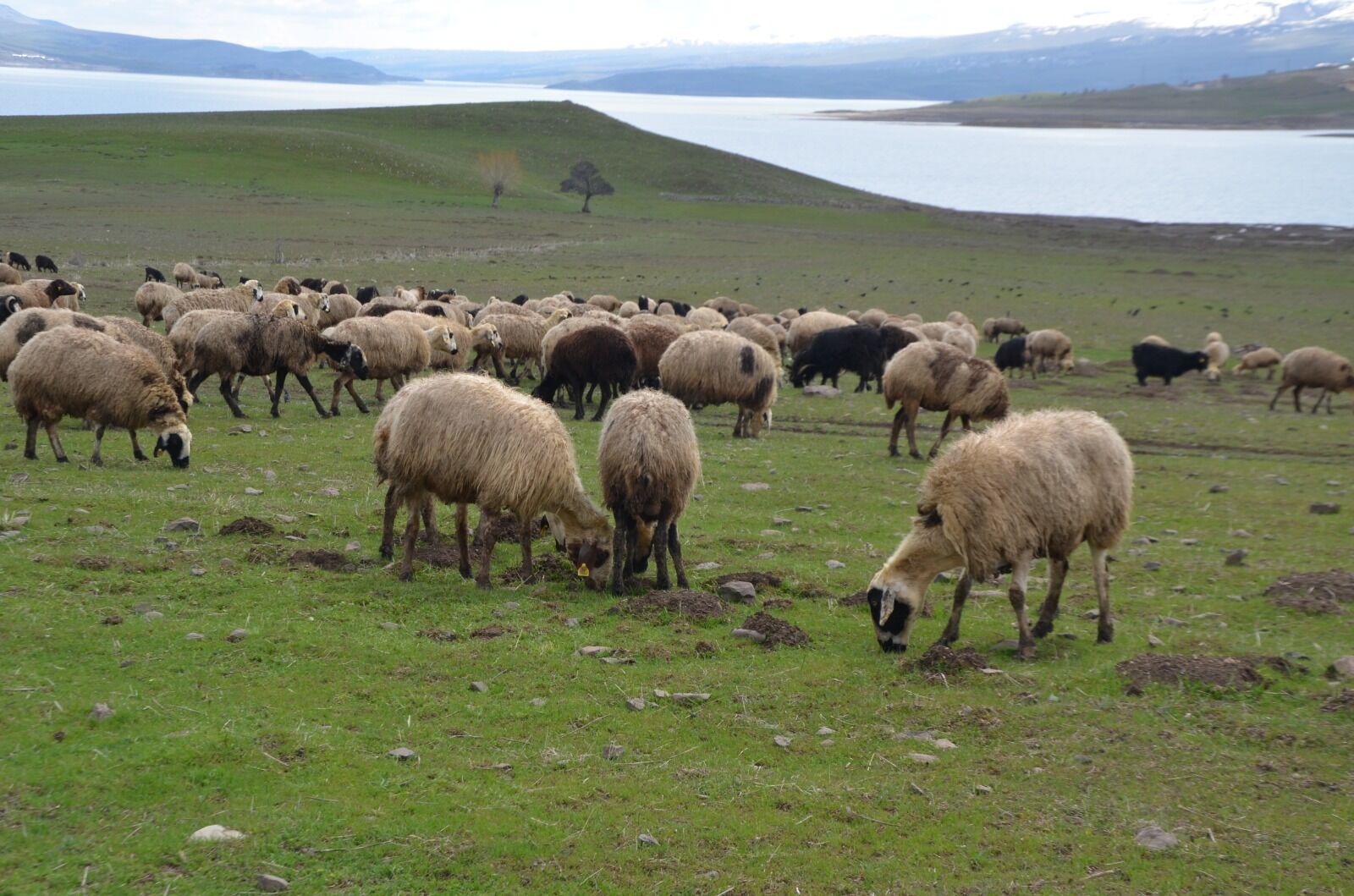 Whatsapp Image 2026 04 01 At 12.47.36 (1)