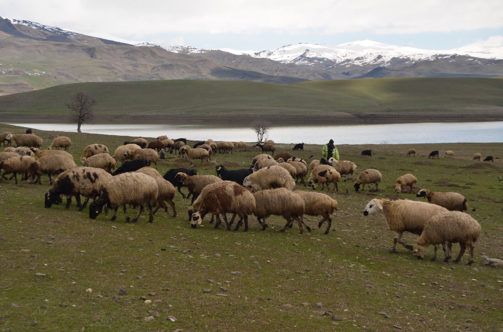 Whatsapp Image 2026 04 01 At 12.47.36 (2)