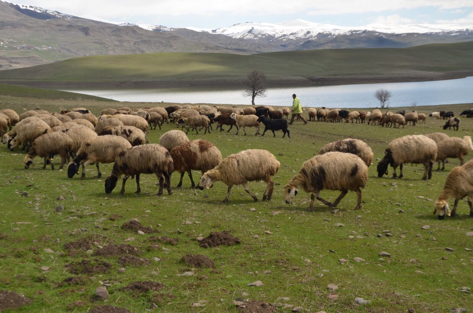 Whatsapp Image 2026 04 01 At 12.47.37