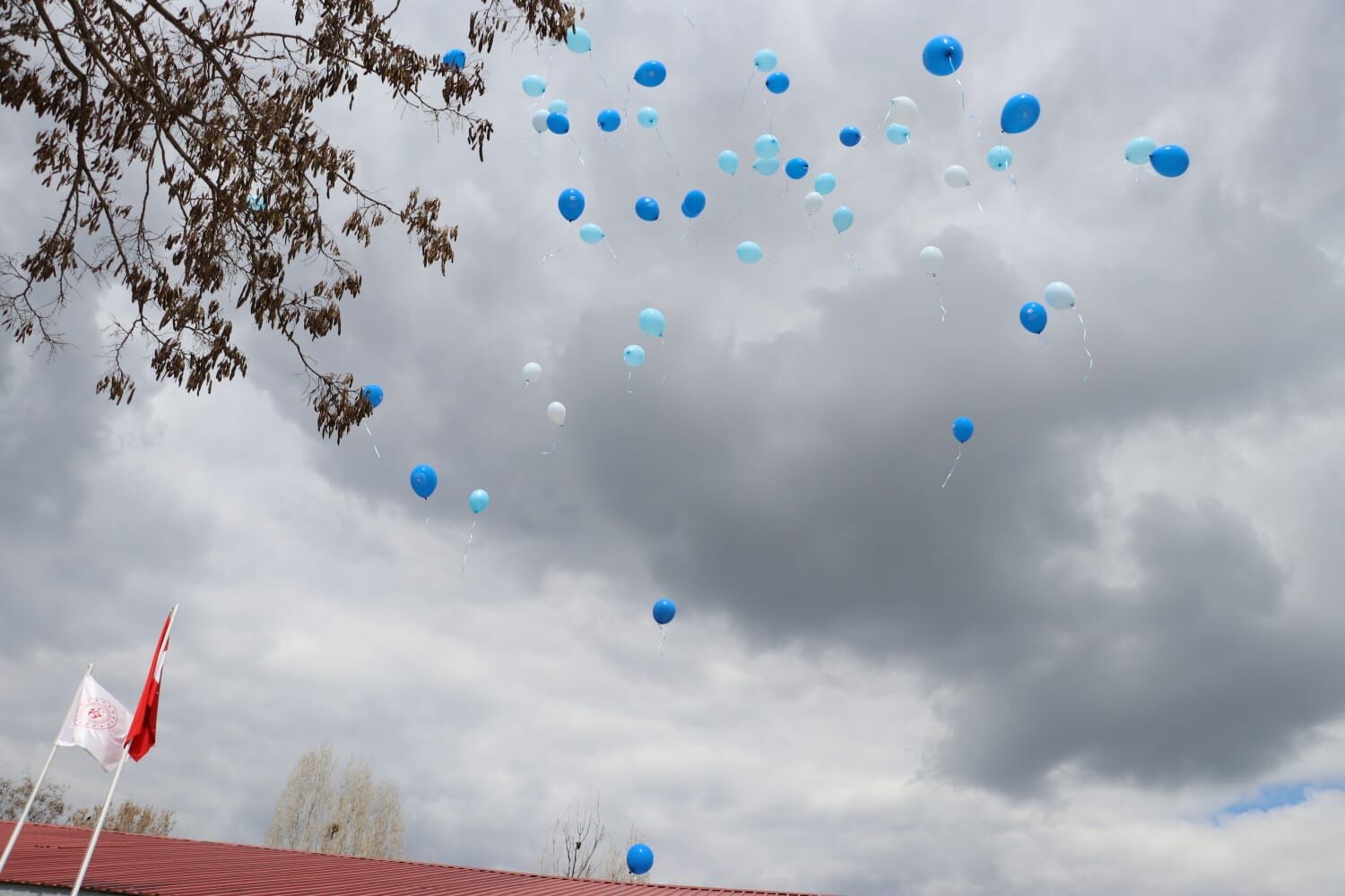 Whatsapp Image 2026 04 02 At 11.18.43 (2)