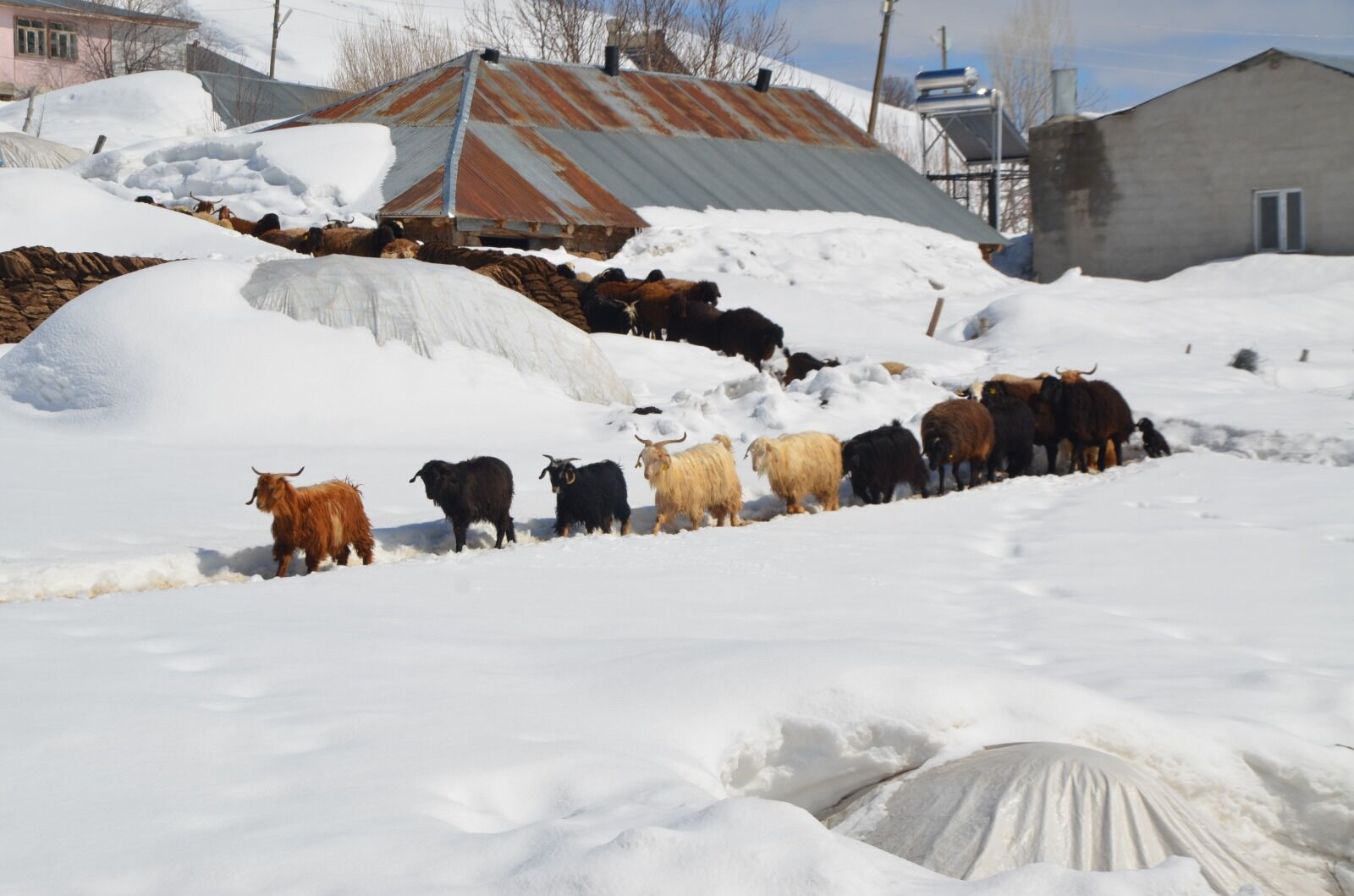 Whatsapp Image 2026 04 04 At 12.00.05