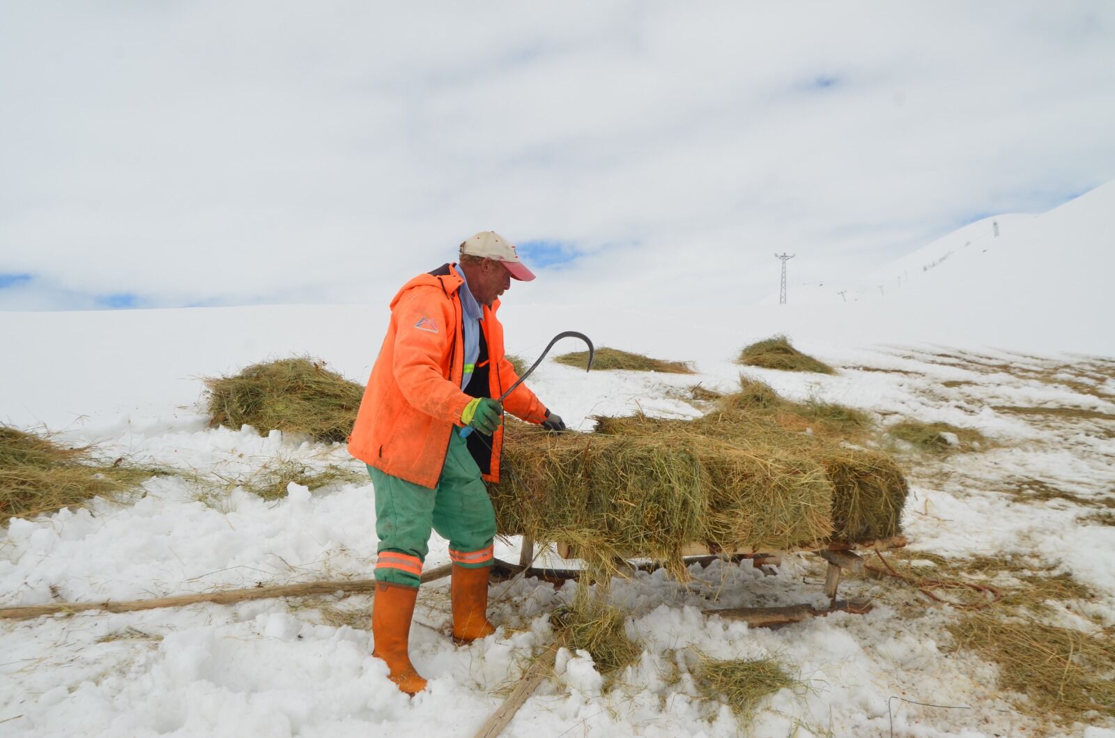 Whatsapp Image 2026 04 04 At 12.00.06 (2)