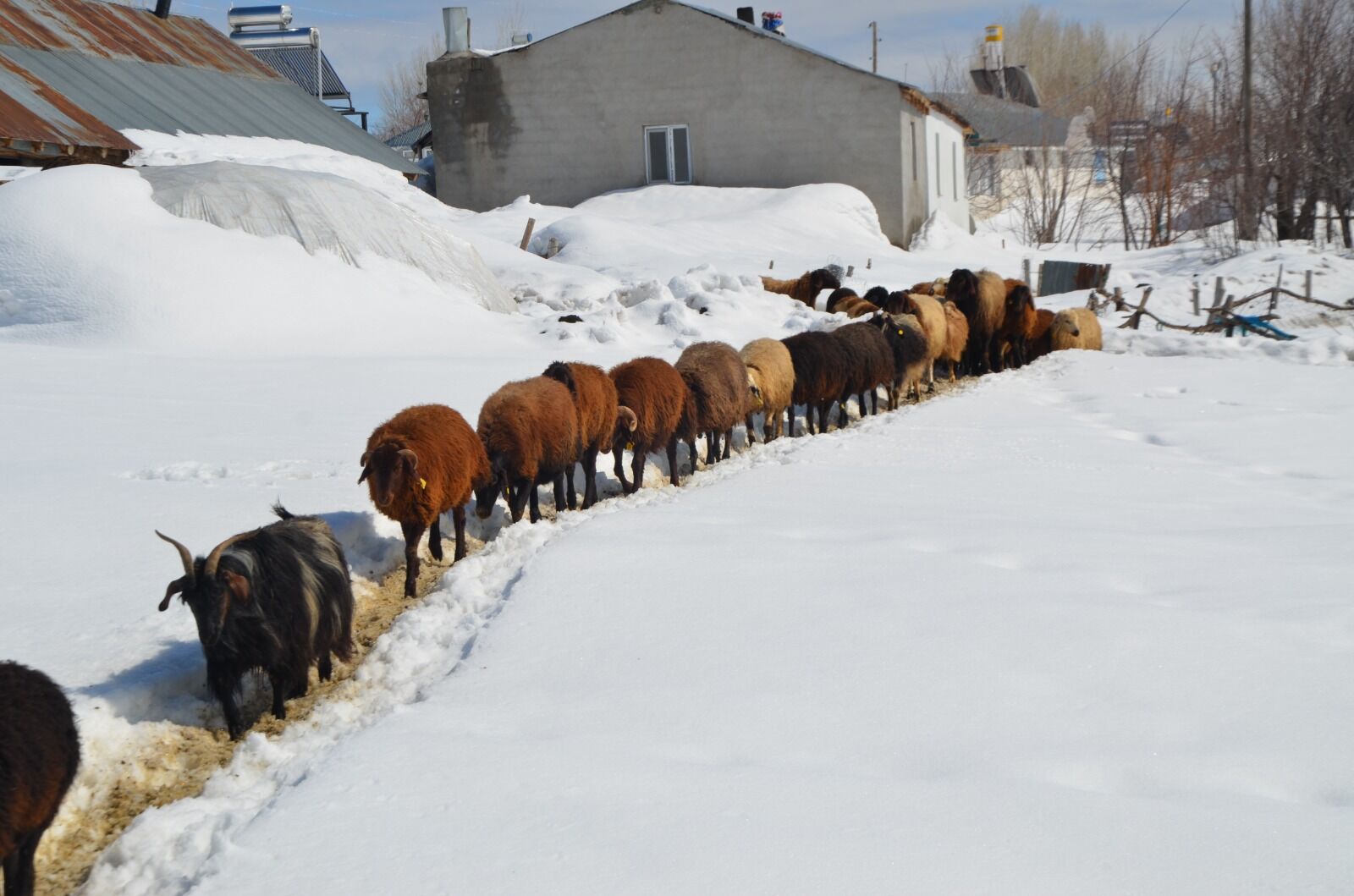 Whatsapp Image 2026 04 04 At 12.00.06 (3)