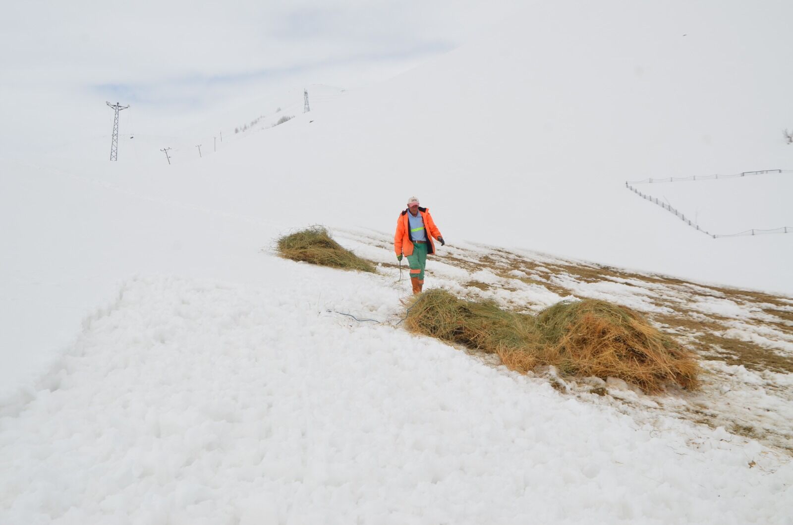 Whatsapp Image 2026 04 04 At 12.00.06