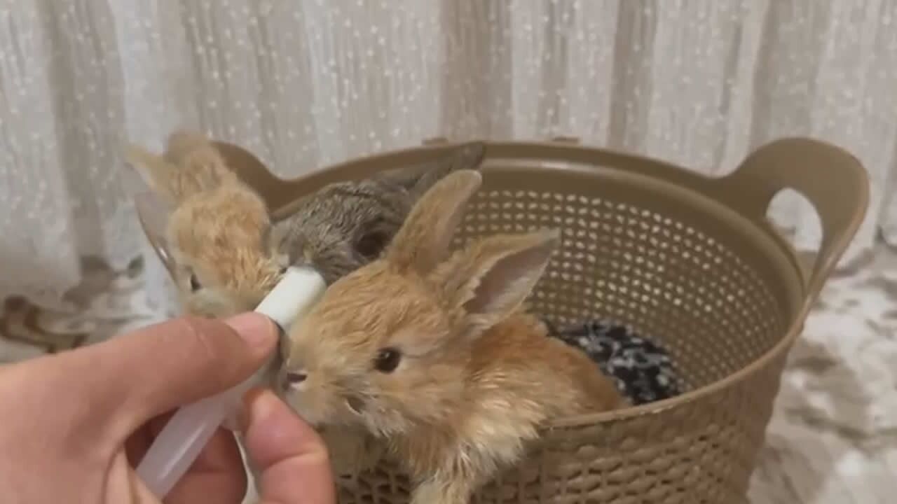 Whatsapp Image 2026 04 07 At 22.41.08 (2)