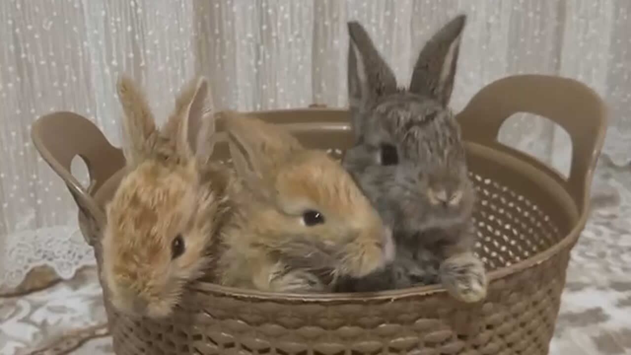 Whatsapp Image 2026 04 07 At 22.41.08