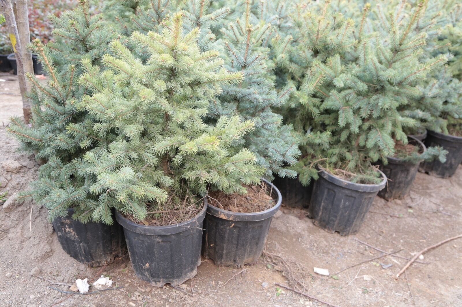 Whatsapp Image 2026 04 09 At 13.13.19 (12)